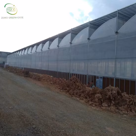 Panneau de module solaire PV monocristallin 16bb Topcon de niveau 1 à haut rendement de 575 W avec cellules de 182 mm